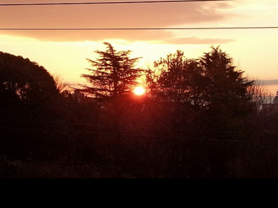 本年も宜しくお願いします