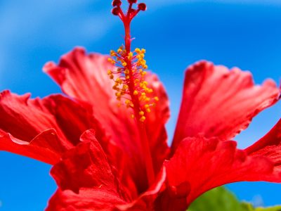 お知らせ [ 2026年3月 Malaki ]